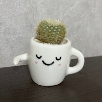藤本ひまり