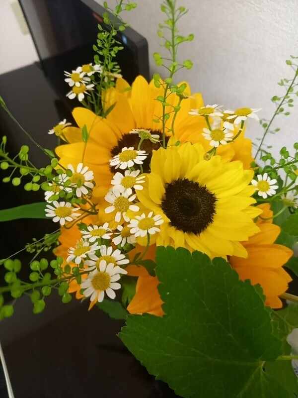 Flower