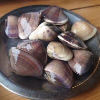 ありがとうございました?