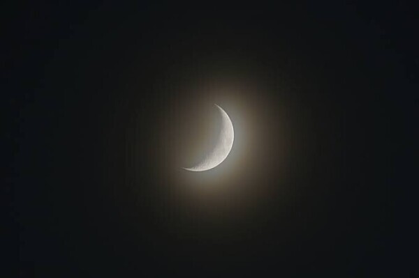今夜は