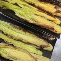 仁科みやび