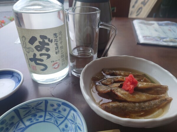 おはようございます?