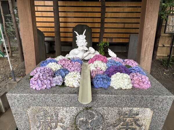 本日も
