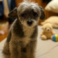 本日お休み頂きます?&zwj;♀?
