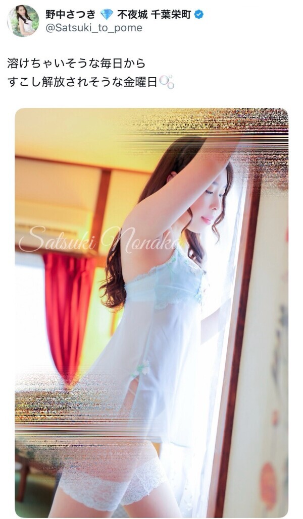 NoTitle