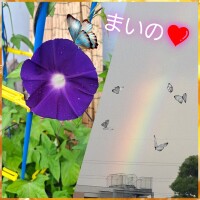 なんだか嬉しい?