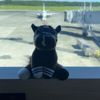 秦野つかさ