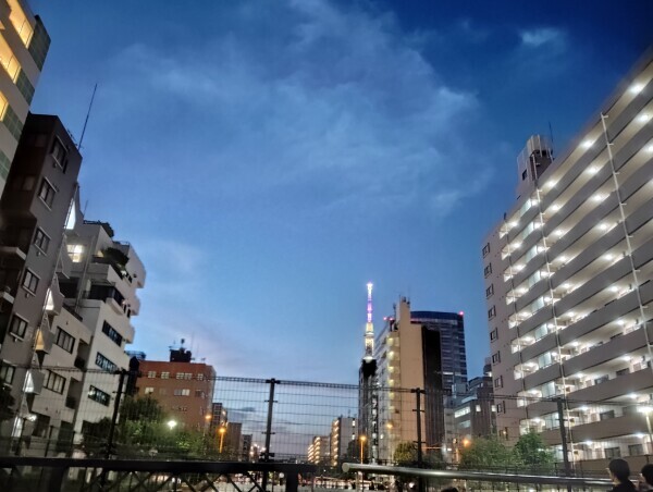 おはようございます。