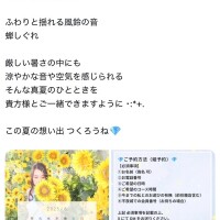 NoTitle