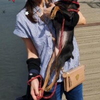 今日もお疲れ様です??