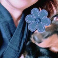 お知らせです。?
