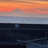 仁科みやび