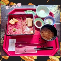 桐岡まいの