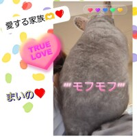 桐岡まいの