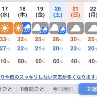 残りわずかです！