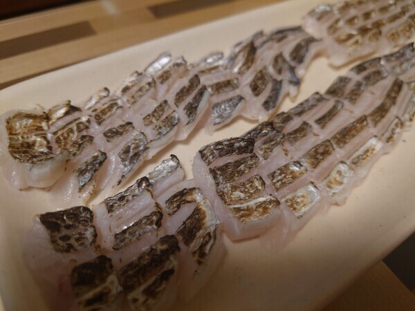 太刀魚きびなごルアーパターン