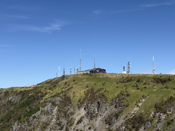 ごめんなさいと太刀魚