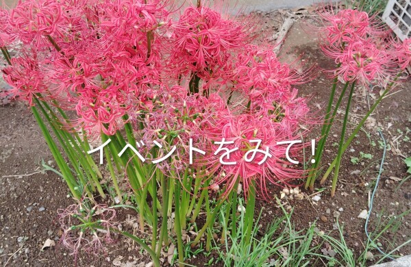 毎月毎月やってます！