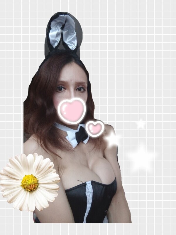 おはよう御座います??