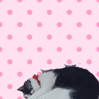 おはよう御座います?