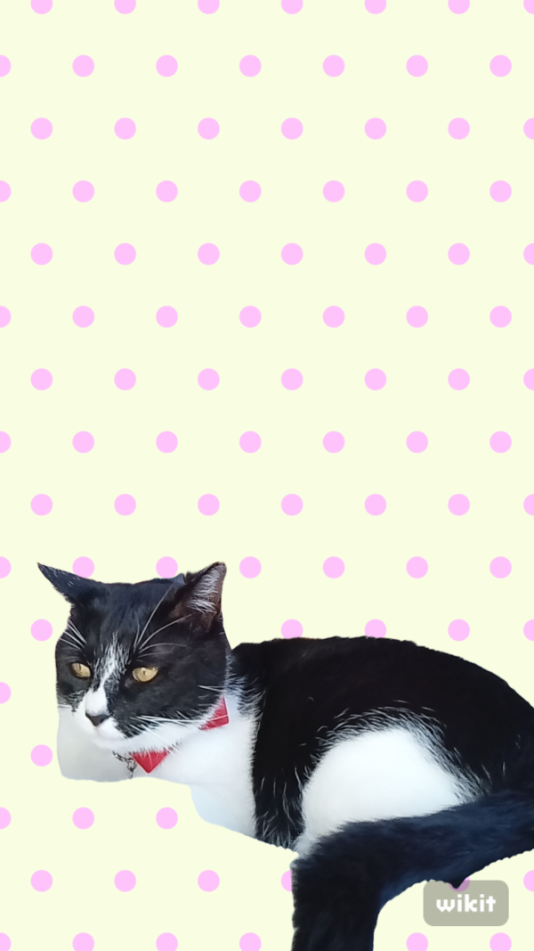 おはよう御座います?