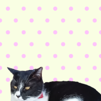 おはよう御座います?