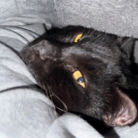 寝起きの&hellip;