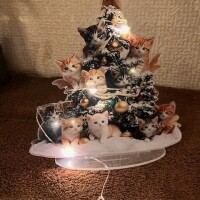 クリスマス?有難う??