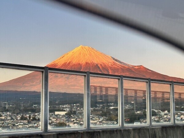 今年の初夢は&hellip;( &deg;Д&deg; )