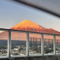 今年の初夢は&hellip;( &deg;Д&deg; )