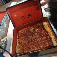 本年もよろしくお願いいたします(*??"/?*)｡♪:*&deg;