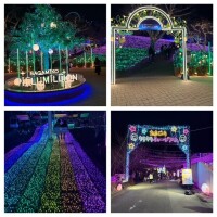 行ってきました?