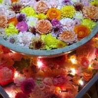 今日と明日は絶対出勤するので遊んで下さい?