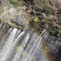 ありがとうございました??