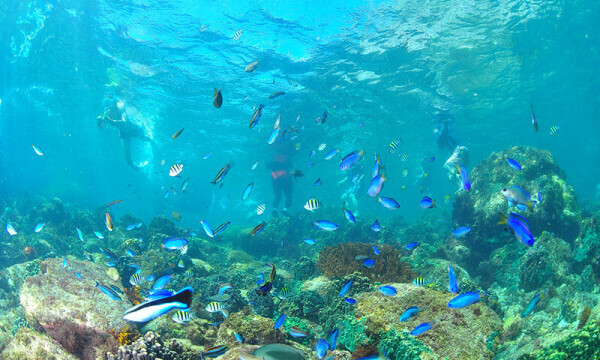 出勤しました(*^^*)