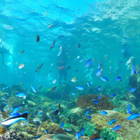 出勤しました(*^^*)