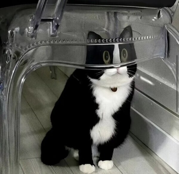 ありがとうございました?