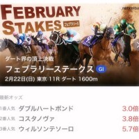 ??フェブラリーステークスでありそうなサインを本気で考えてみた???※長文