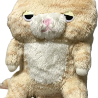 猫の日??初出勤?