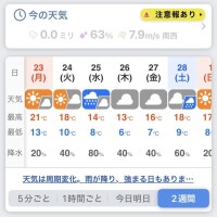 暖かい通り越して暑い?