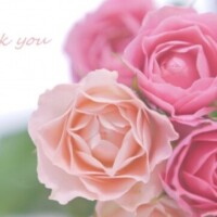 ?3月～の大切なお知らせ?