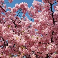 昨日もありがとうございました?今日も出勤です?