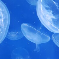 ありがとうございました?本日メンテナンスday?