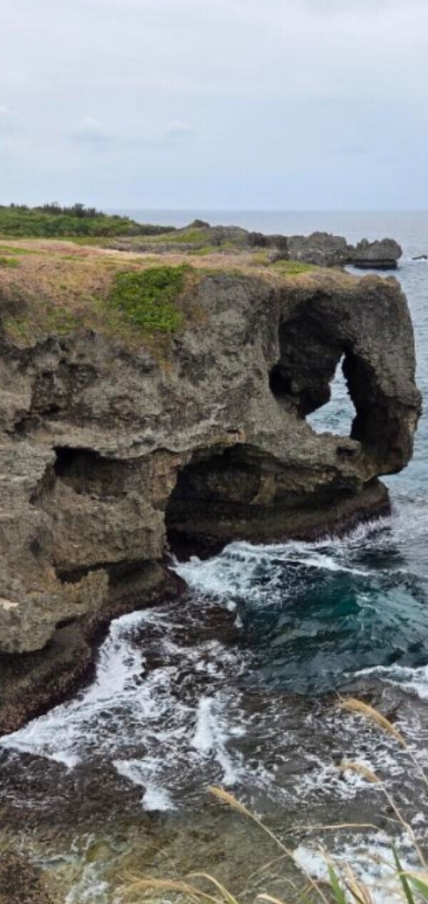 ?救世主様?求む！！！