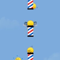 火曜日のお礼と明日あさって?