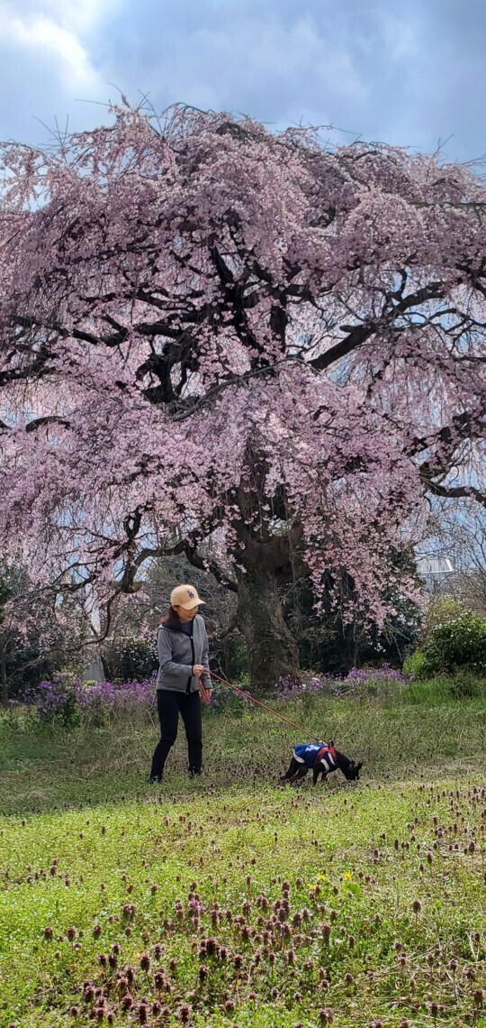 今週もお疲れさまでした??