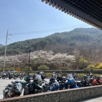 3月ラスト！新年度ウェルカム??