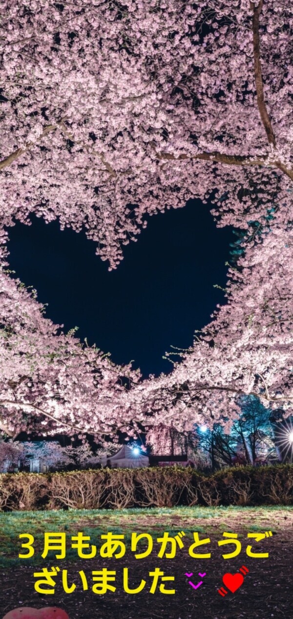 ?ありがとうございました??