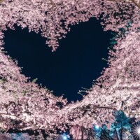 ?ありがとうございました??