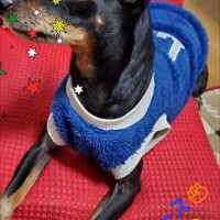 =E3=81=8A=E7=96=B2=E3=82=8C=E6=A7=98?==E3=81=A7=E3=81=99=3F=3F?=